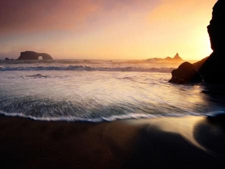 Bonjour tout le monde